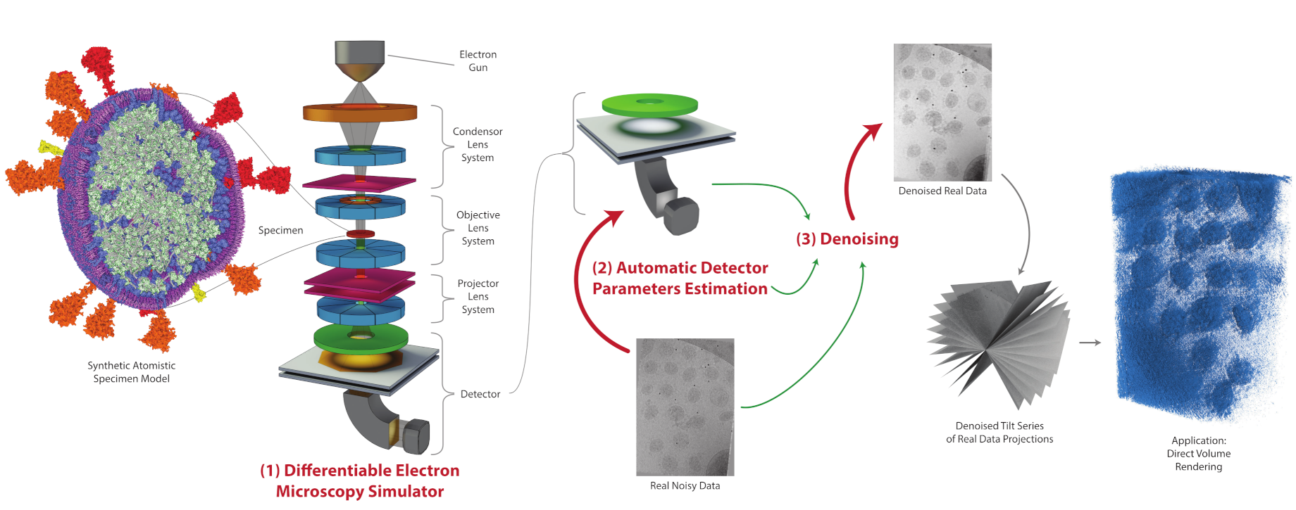 Differentiable Electron Microscopy Simulation: Methods and Applications for Visualization